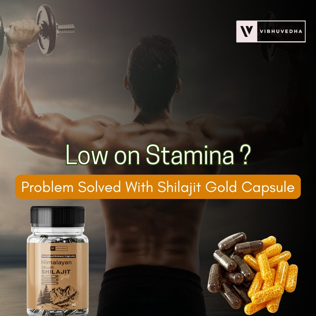 Shudh Shilajit Gold